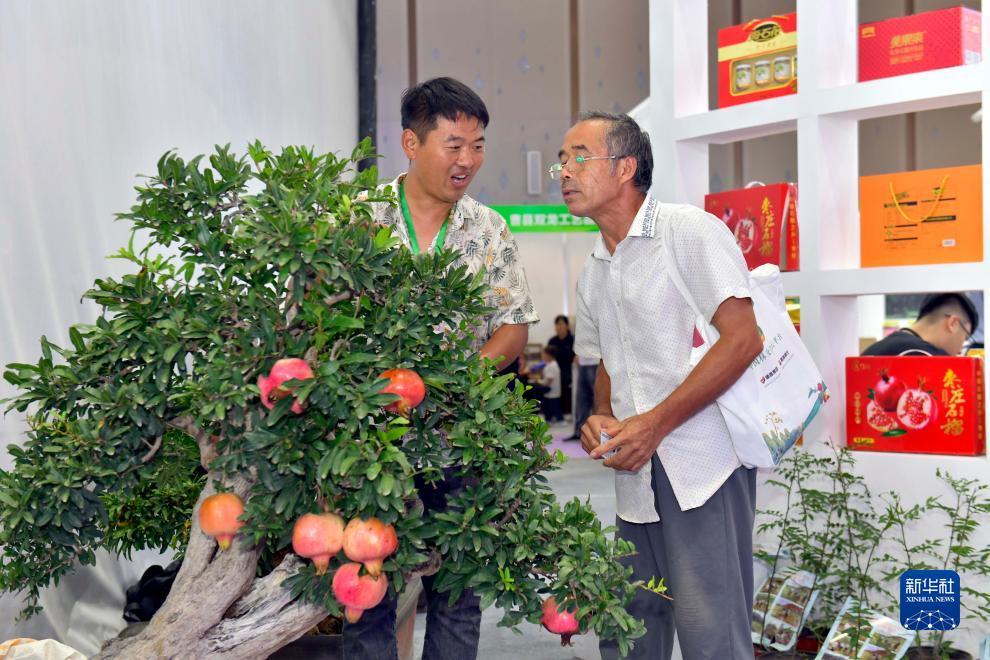 万人棋牌平台